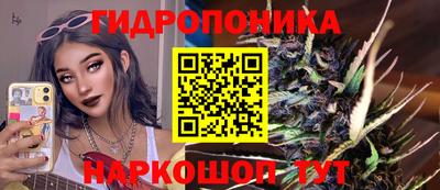 PSILOCYBIN Нальчик
