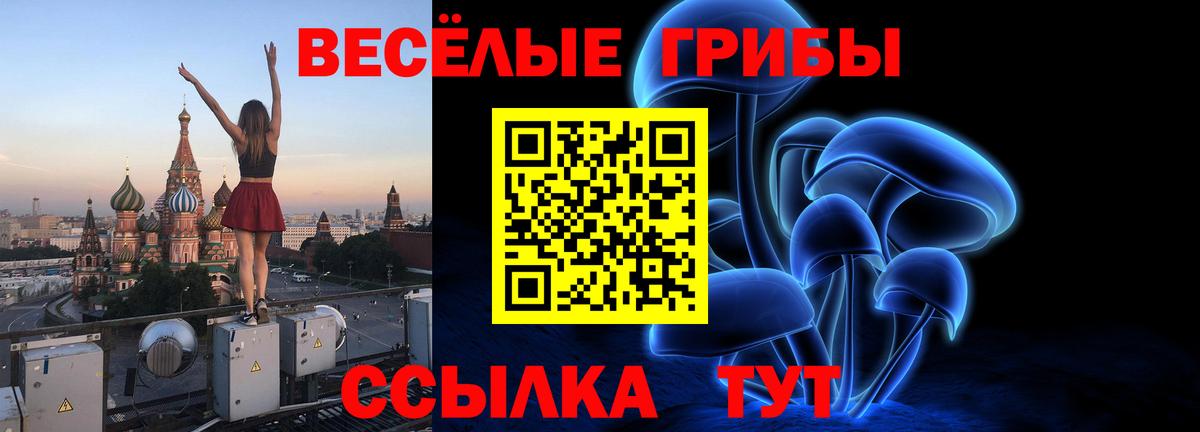 Псилоцибиновые грибы Psilocybine cubensis  Вход с VPN  Узловая 