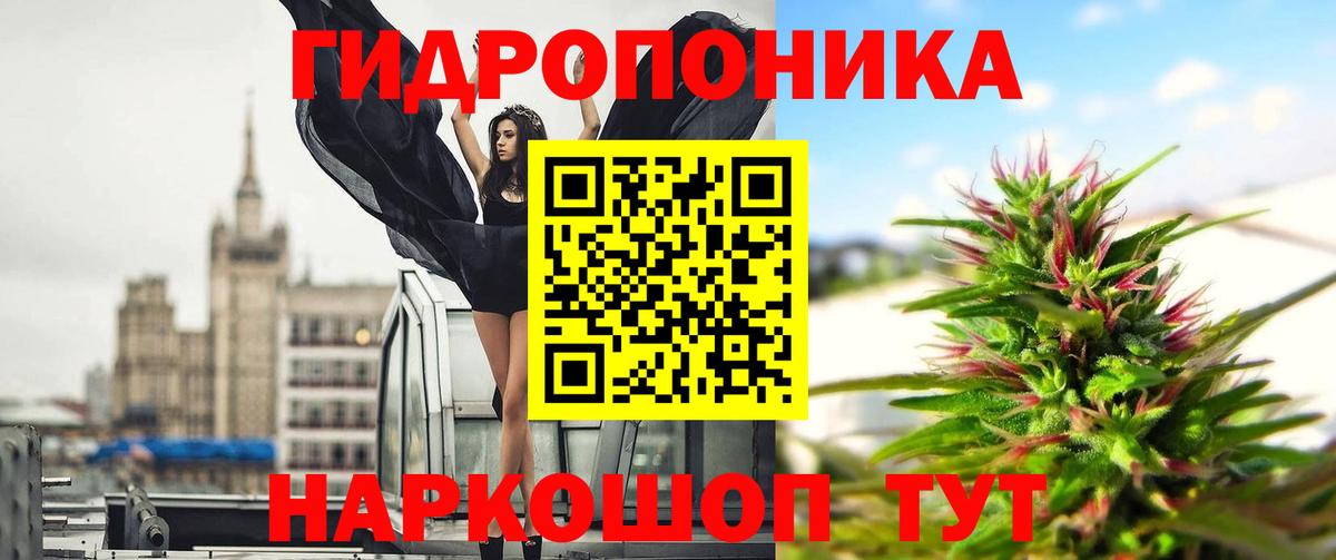 Шишки марихуана конопля Узловая